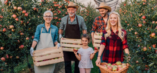 multi generational family apple orchard business