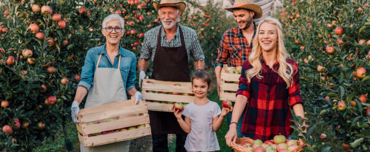 multi generational family apple orchard business